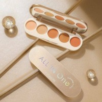 Focallure Concealer Palette All in one